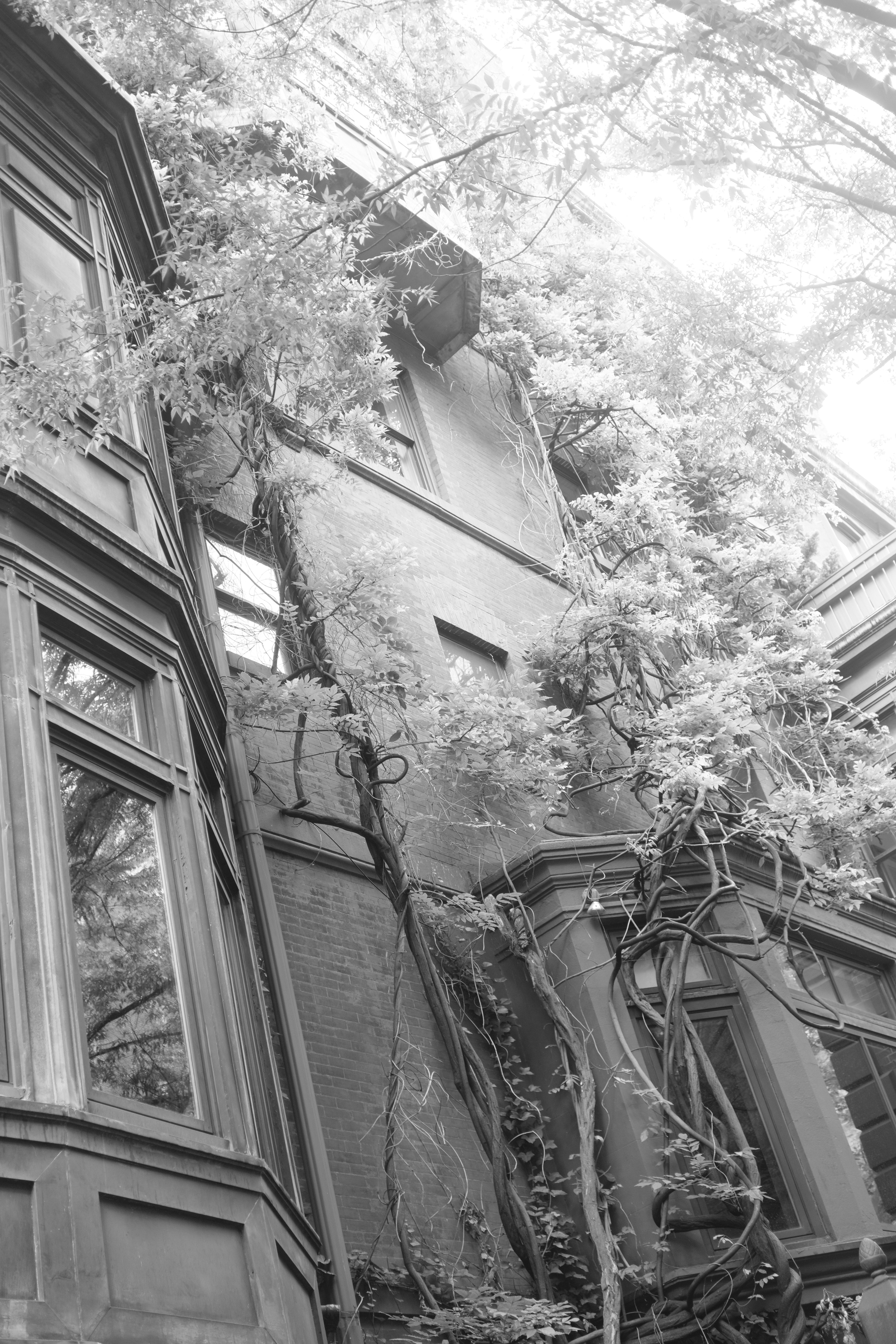 Architectural photograph 6